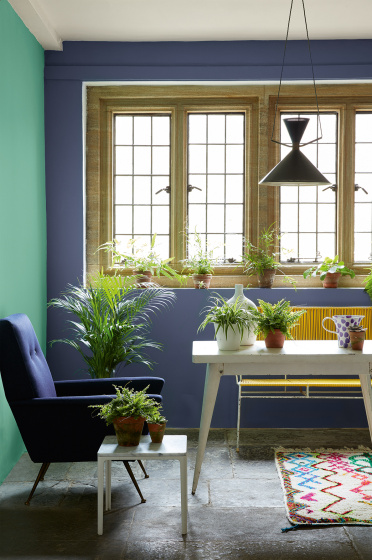 Garden room with purple blue (Pale Lupin) wall, a contrasting green left wall and blue armchair surrounded by potted plants.
