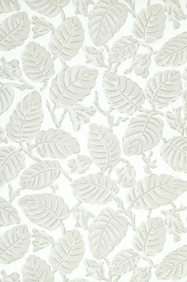 Swatch of the grey leaf print wallpaper 'Beech Nut - Warm Grey'.