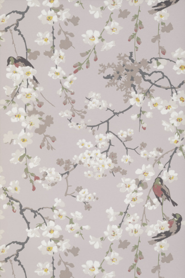 Swatch of the grey pink floral wallpaper 'Massingberd Blossom - Grey'.