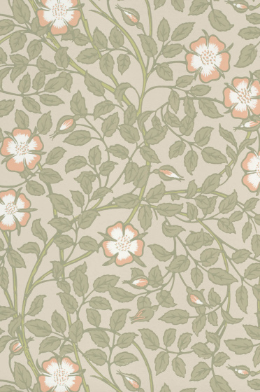 Swatch of the green neutral floral wallpaper 'Briar Rose - Green Mist'.