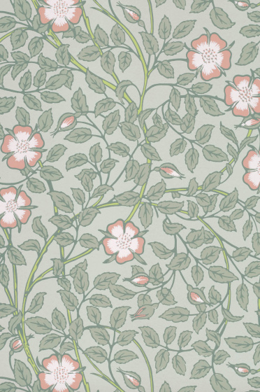 Swatch of the light green floral wallpaper 'Briar Rose - Salix'.