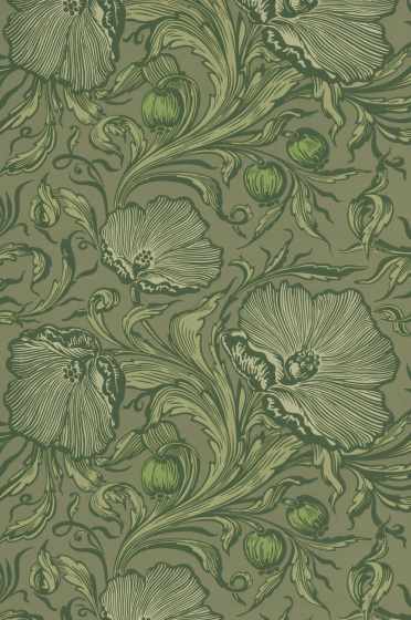 Swatch of the green floral poppy print wallpaper 'Poppy Trail - Sage Green'.